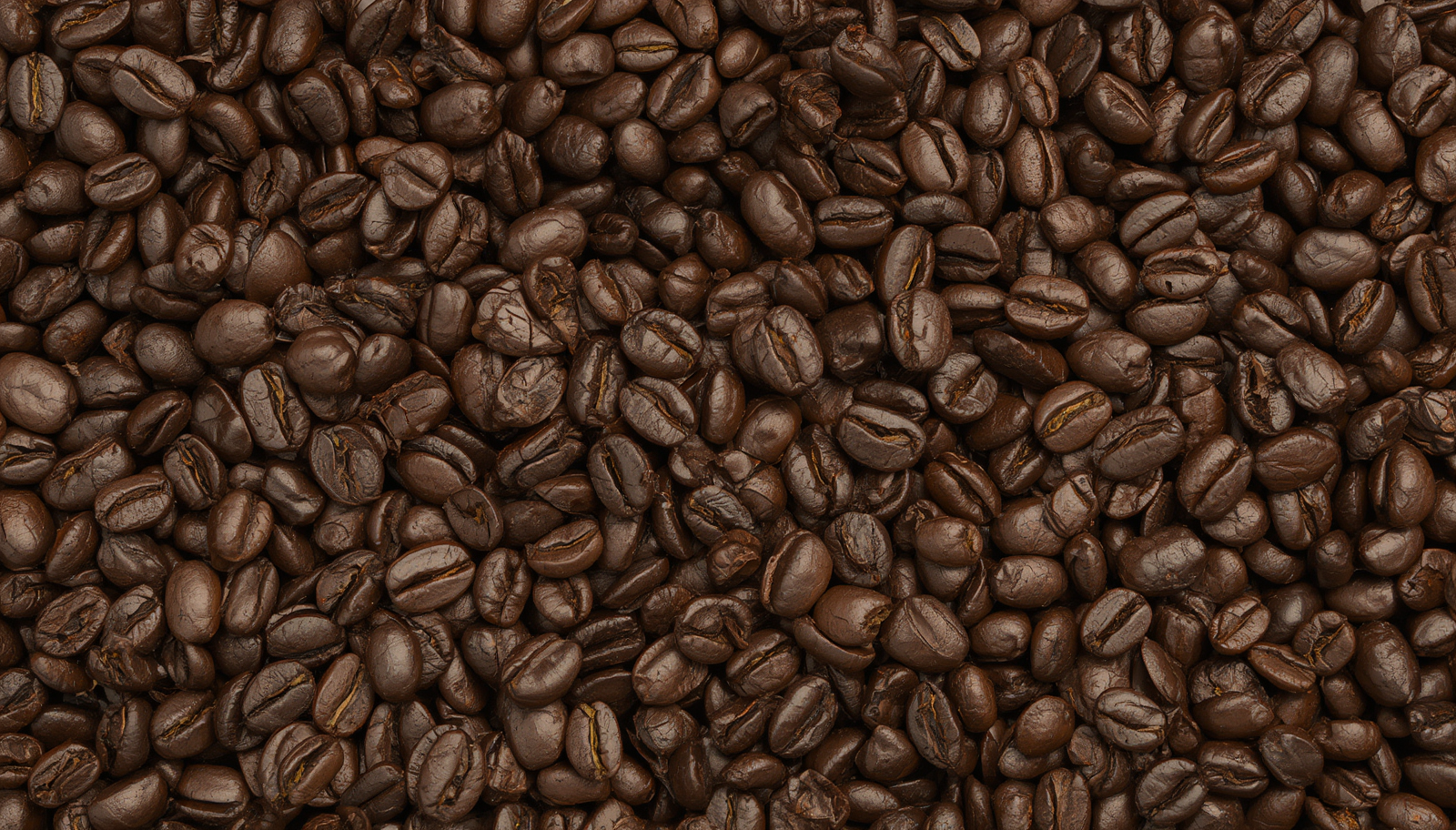 Robusta Roasted Ground Coffee
